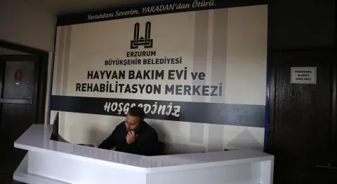 Haber Resmi