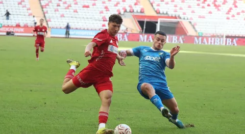 Haber Resmi