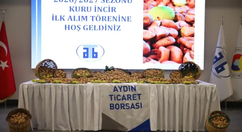 Haber Resmi
