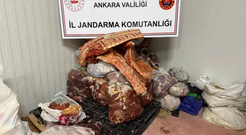 Haber Resmi