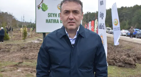 Haber Resmi