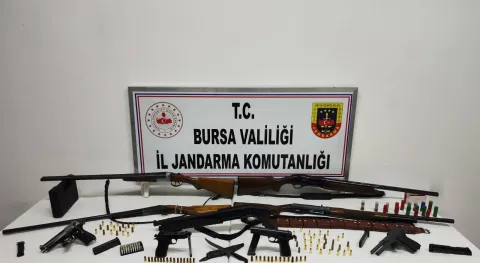 Haber Resmi