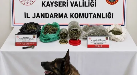 Haber Resmi