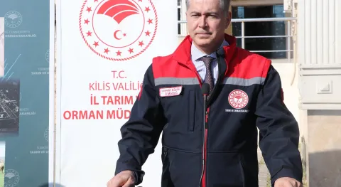 Haber Resmi
