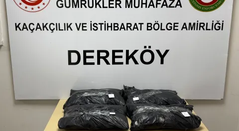 Haber Resmi