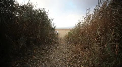 Haber Resmi