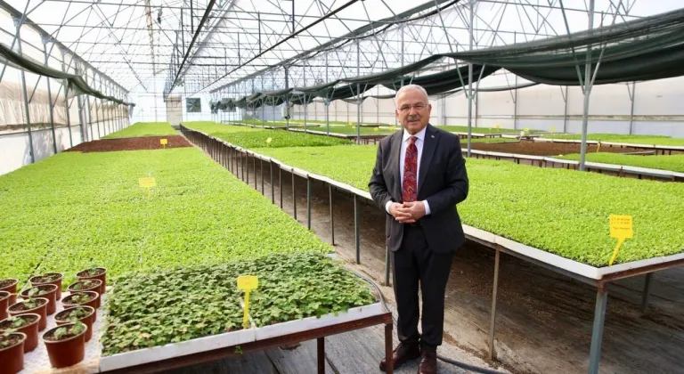 400 Bin kışlık sebze fidesi dağıtıma hazır