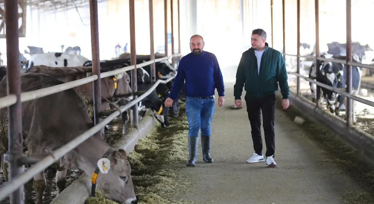 6 ŞUBAT DEPREMLERİNİN ÜÇÜNCÜ YILI - Hatay'da depremde hayvanlarını kaybeden besiciler, devlet desteğiyle yeniden ayağa kalktı