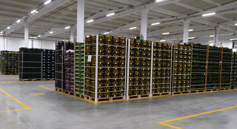 A101 deposu BRCGS S&D standardı kapsamında 5. kez AA notu aldı