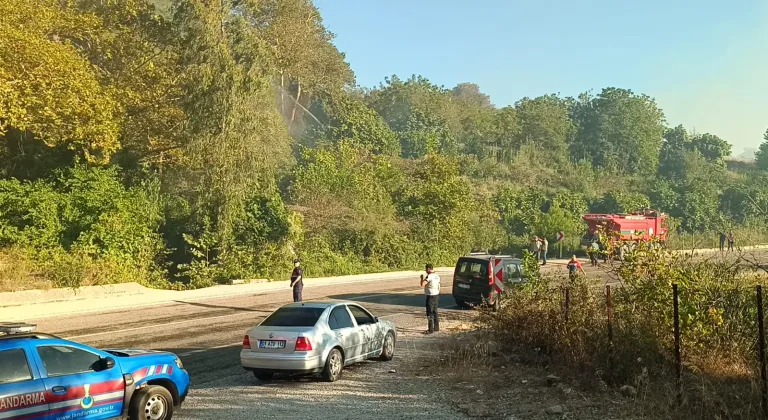 Adana'nın Kozan ilçesinde çıkan orman yangınına müdahale ediliyor