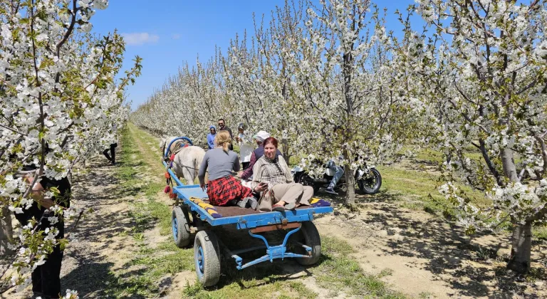 Afyonkarahisar'da "5. Geleneksel Sultandağı Kiraz Çiçeği Foto Safari" etkinliği yapıldı