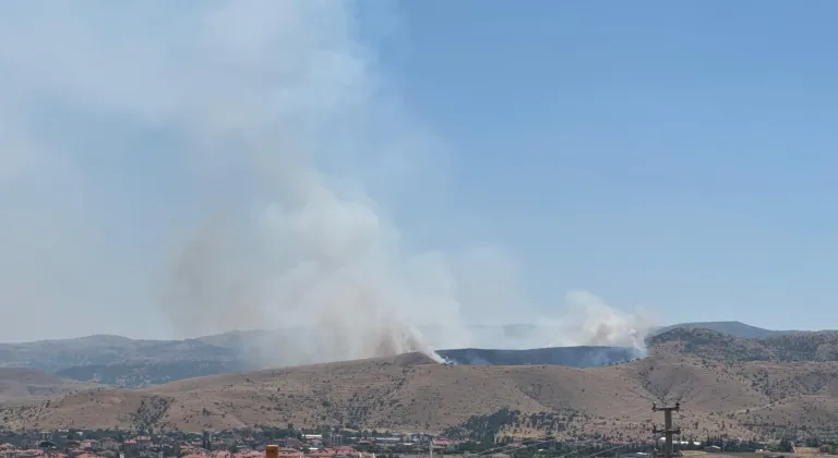 Afyonkarahisar'da otluk alanda çıkan yangına müdahale ediliyor