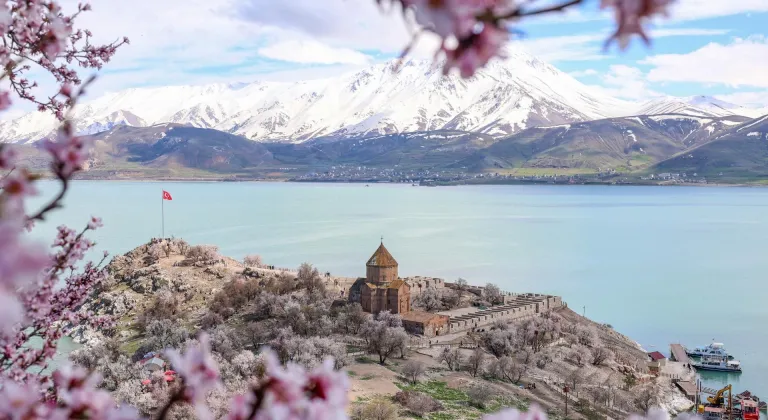 Akdamar Adası çiçek açan badem ağaçlarıyla renklendi