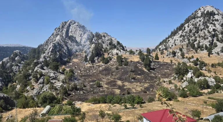 Alanya'da çıkan zirai alan yangını kontrol altına alındı