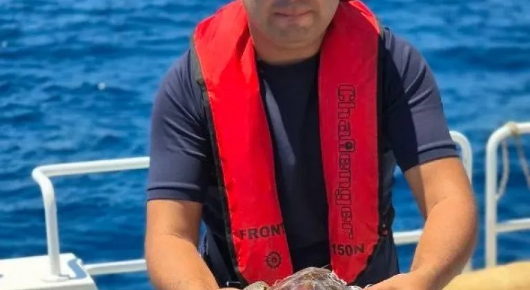 Alanya'da çuvala dolanan caretta carettayı tur teknesinin kaptanı kurtardı