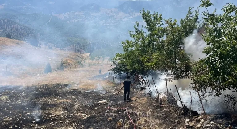 Alanya'da tarım alanında çıkan yangın söndürüldü