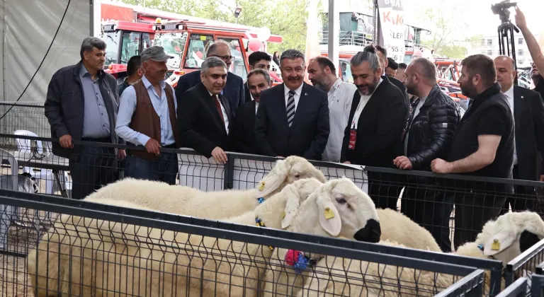 Amasya'da "Orta Karadeniz Tarım, Hayvancılık ve Gıda Sanayi Fuarı" başladı