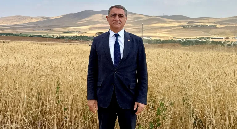 Anadolu'nun kurak iklimine uygun, verimi yüksek buğday çeşitleri geliştiriliyor