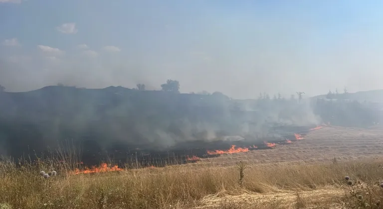 Ankara'nın Çubuk ilçesinde çıkan yangın söndürüldü