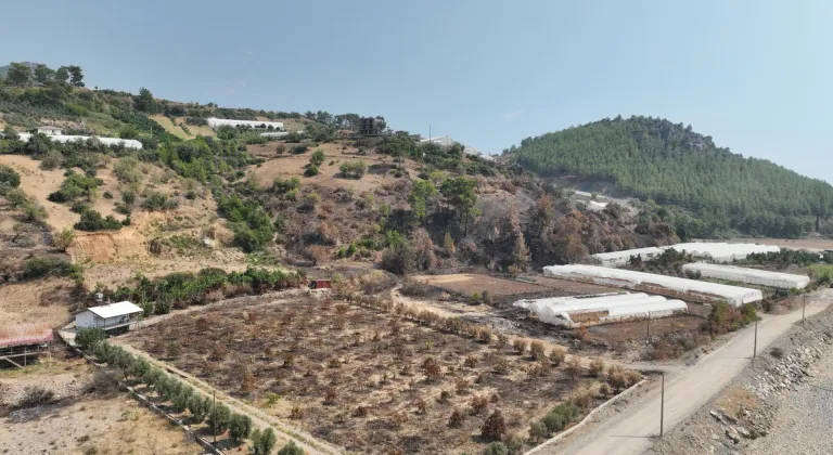 Antalya Büyükşehir Belediyesi yangından etkilenen üreticilere destekte bulundu