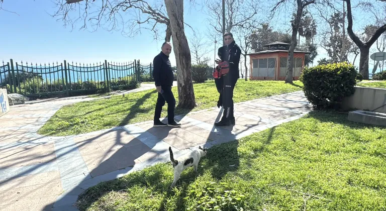 Antalya'da falezlerde mahsur kaldığı sanılan kedi itfaiyeyi harekete geçirdi