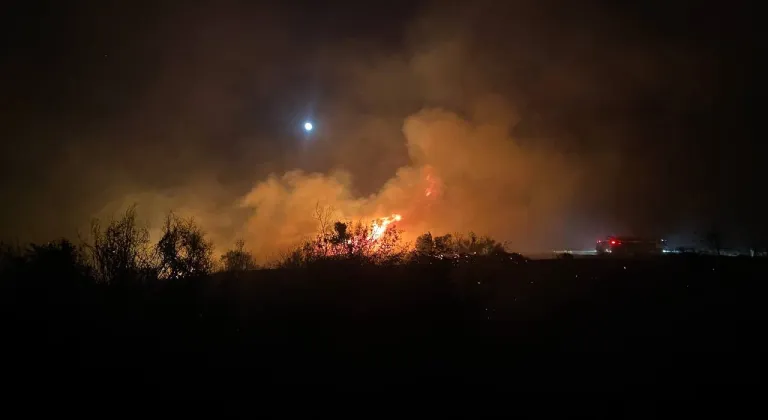 Antalya'da makilik alanda çıkan yangına müdahale ediliyor