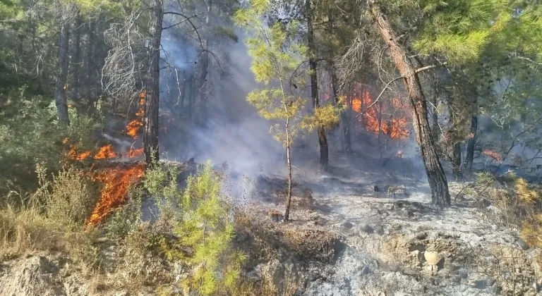 Antalya'da ormanlık alanda çıkan yangına müdahale ediliyor