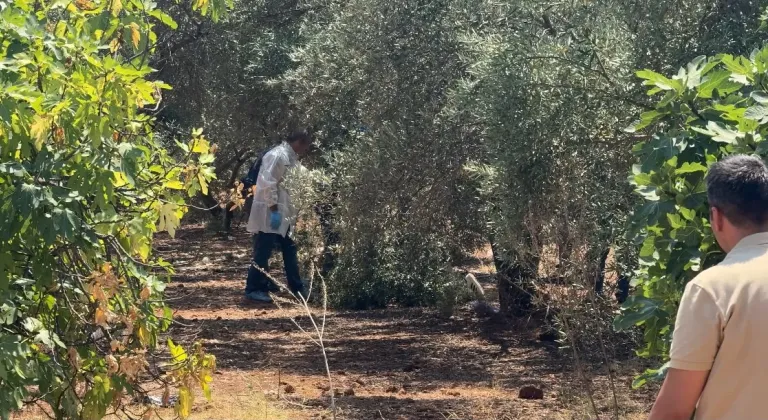 Antalya'da zeytinlik alanda elleri arkadan bağlı olan bir genç ölü olarak bulundu