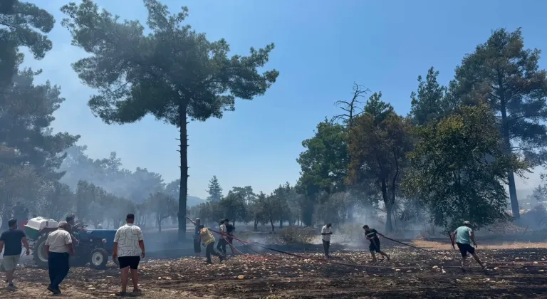Antalya'nın Kaş ilçesinde ormanlık alanda yangın çıktı