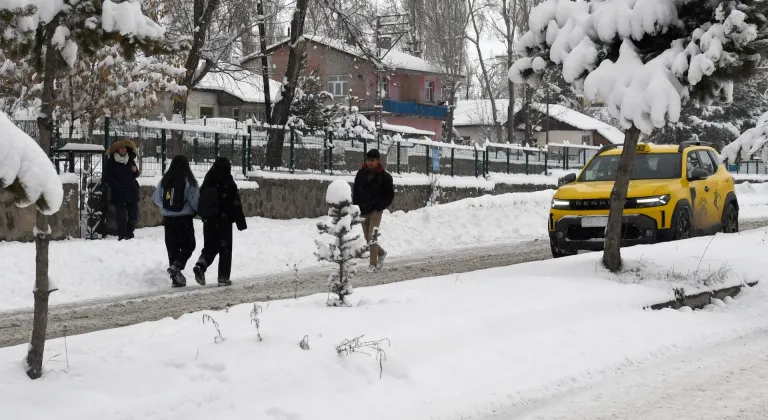 Ardahan ve Kars'ta kar yağışı etkili oldu