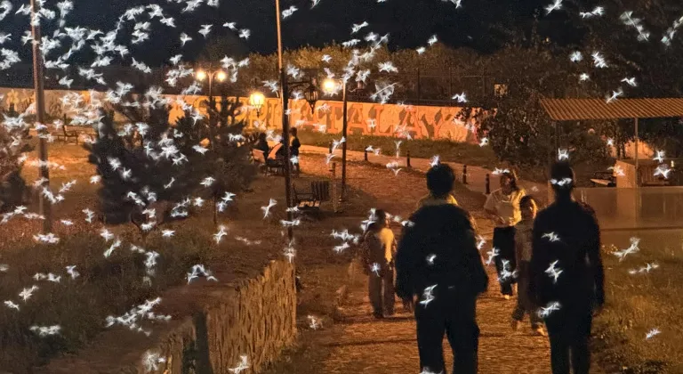 Ardahan'da sineklerin "ölüm dansı" başladı