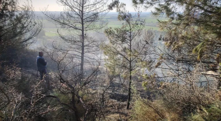 Arsuz ilçesinde çıkan orman yangını söndürüldü