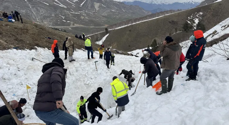 Artvin'de çığ altında kalan çobanı arama çalışmaları sürüyor