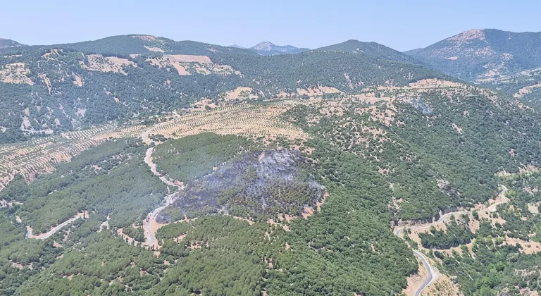 Aydın Kuyucak'ta çıkan orman yangınına müdahale ediliyor