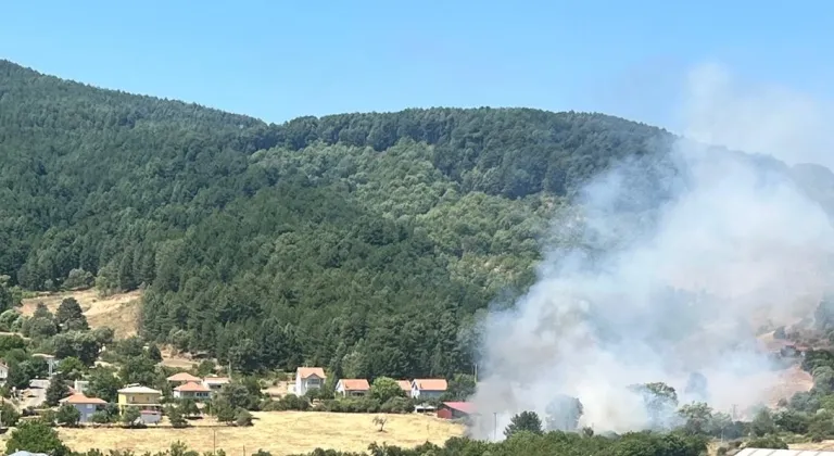 Aydın Kuyucak'ta zeytinlik alanda çıkan yangın kontrol altına alındı