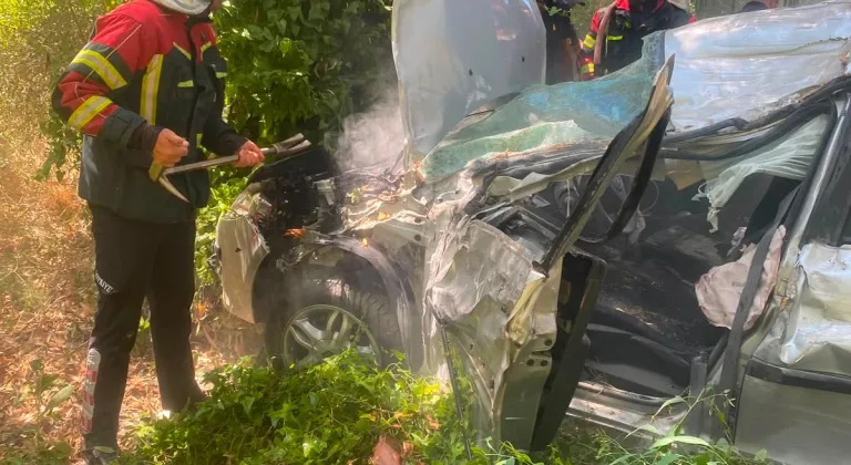 Aydın'da otomobil ağaca çarptı, 1 kişi öldü, 1 kişi yaralandı