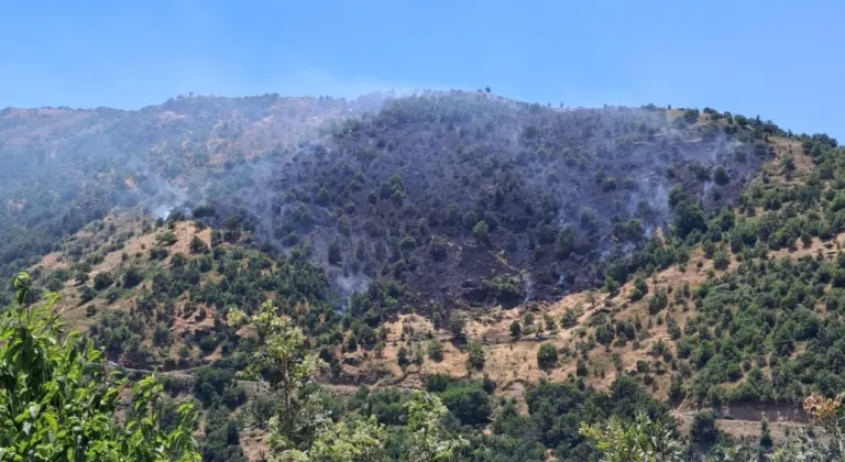 Aydın'da zirai alanda çıkan yangın söndürüldü