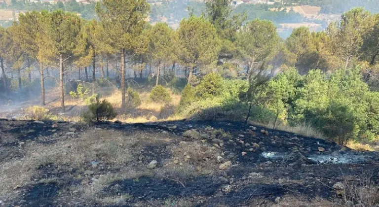 Balıkesir Dursunbey'de arazide başlayıp ormana sıçrayan yangına müdahale ediliyor