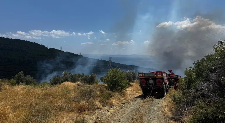 Balıkesir'in Erdek ilçesinde makilik ve zeytinlik alanda yangın çıktı