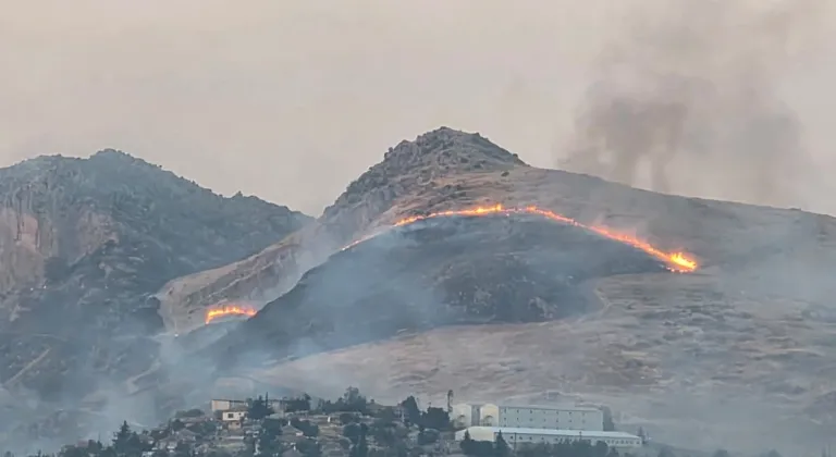 Başkentte ağaçlık alanda çıkan yangına müdahale ediliyor