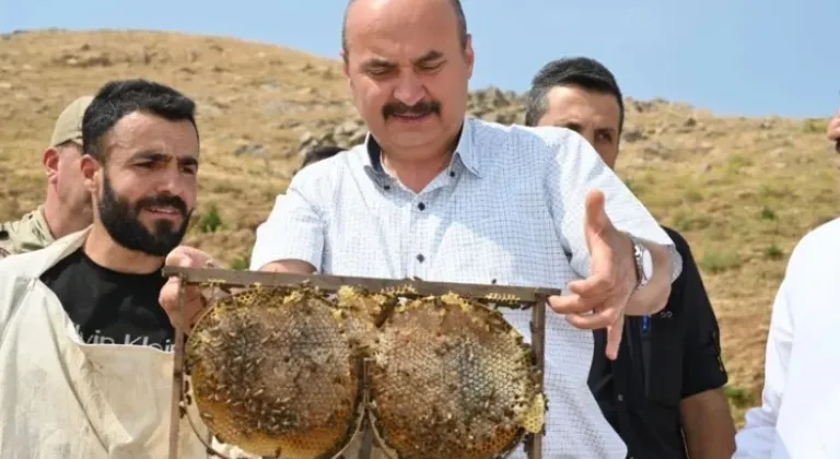 Batman Sason’da Bal Hasadı Sevinci








