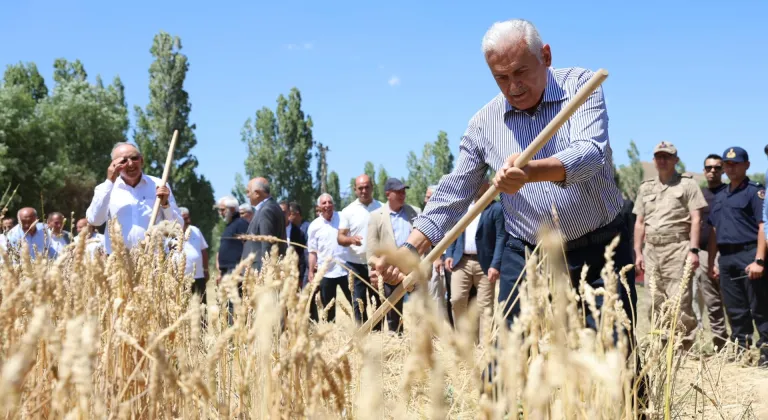 Bayburt'taki "Harman Şenliği"nde geleneksel tarım aletleriyle hasat yapıldı
