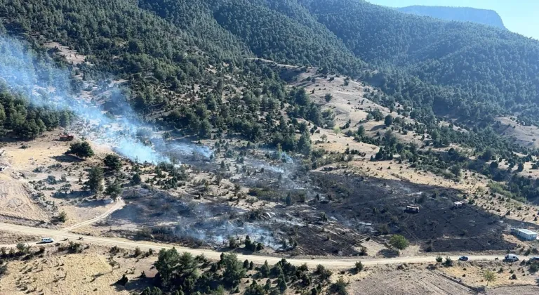 Bilecik'te makilik alanda çıkan yangın kontrol altına alındı