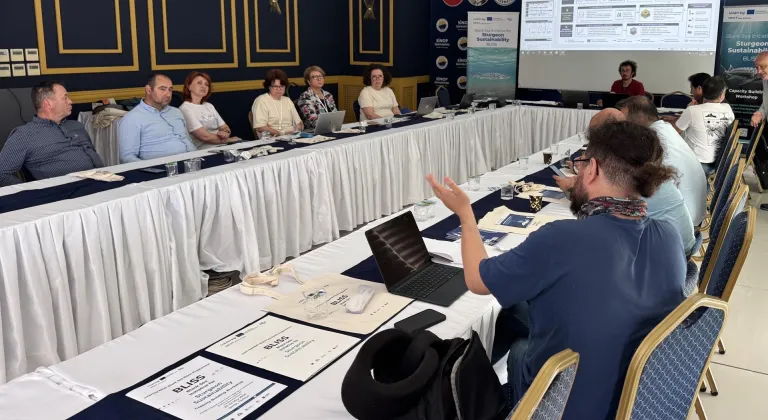 Bilim insanları mersin balığının geleceği için Sinop'ta buluştu