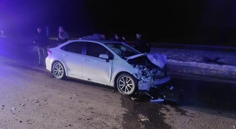 Bingöl'de domuz sürüsüne çarpan otomobildeki 3 kişi yaralandı