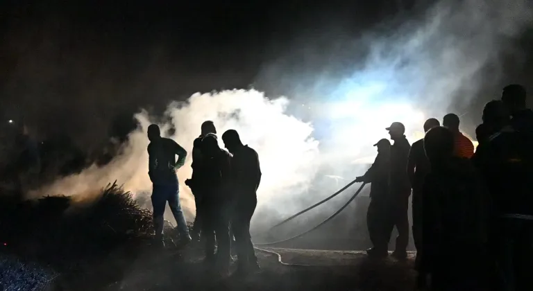 Bitlis'te mezarlıkta çıkan yangın söndürüldü