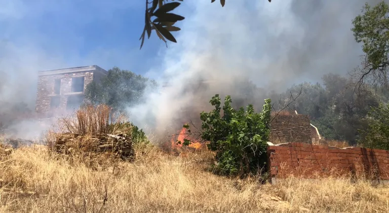 Bodrum'da çıkan orman yangını söndürüldü