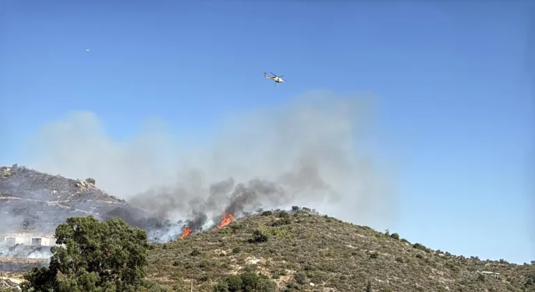 Bodrum'da makilik alanda çıkan yangına müdahale ediliyor