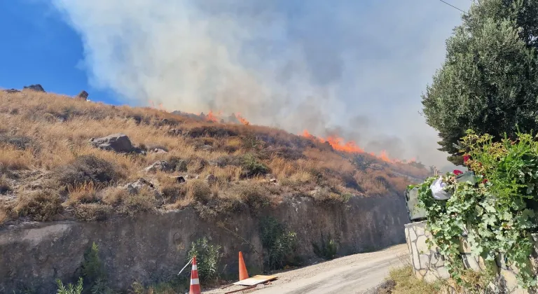 Bodrum'da otluk alanda çıkan yangın söndürüldü