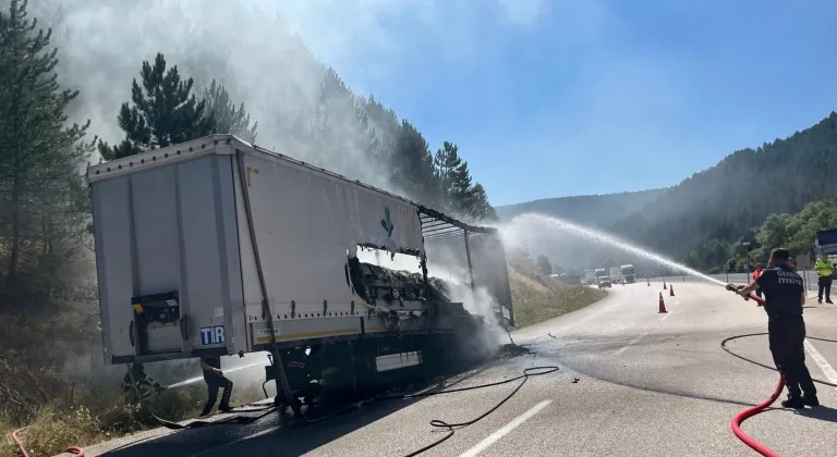 Bolu'da seyir halindeki tırda başlayıp yol kenarındaki ağaçlara sıçrayan yangın söndürüldü